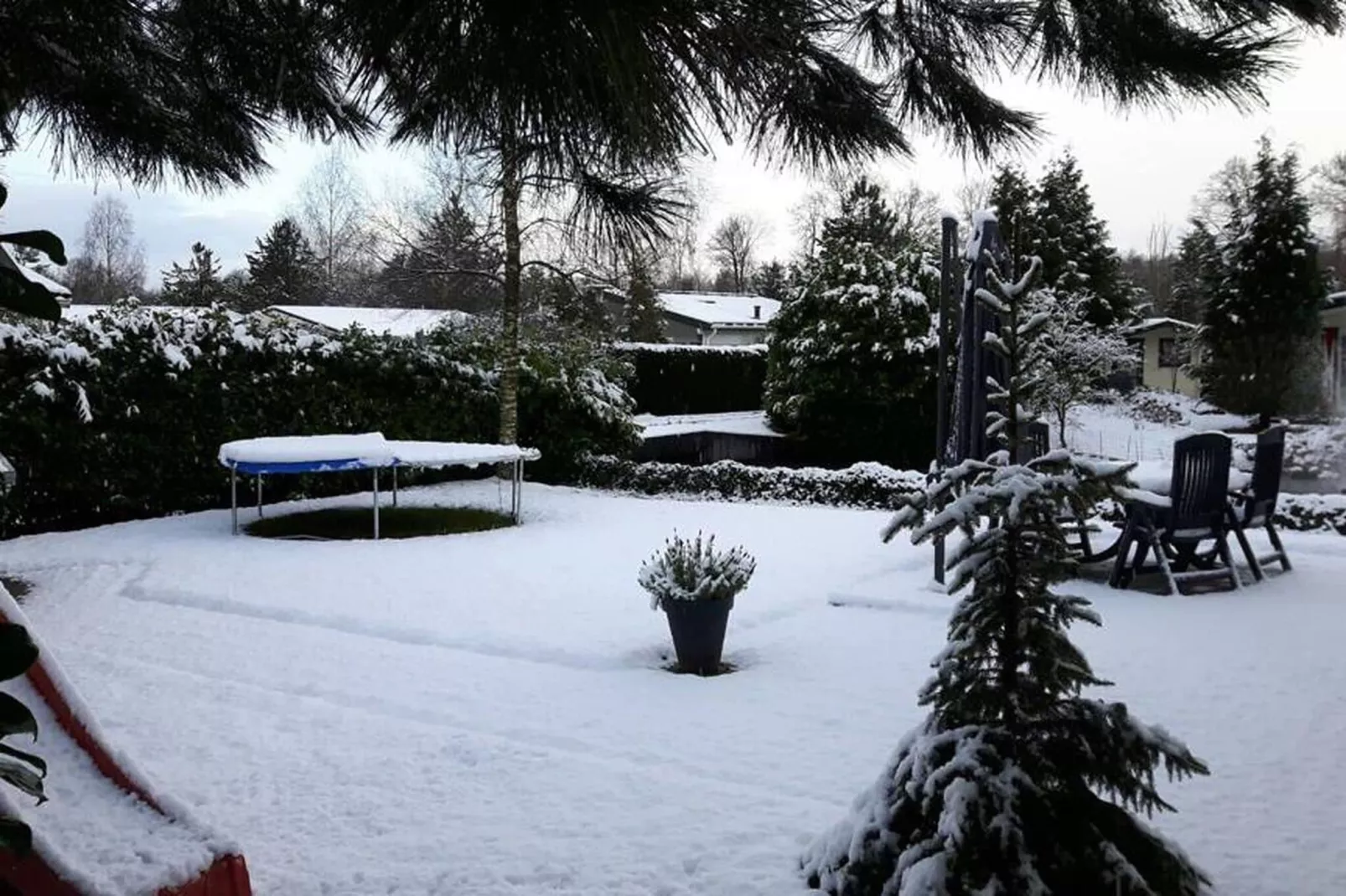 Genieten in Voorthuizen-Garden winter