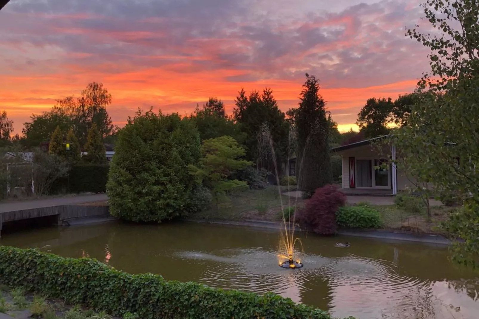 Genieten in Voorthuizen-View summer