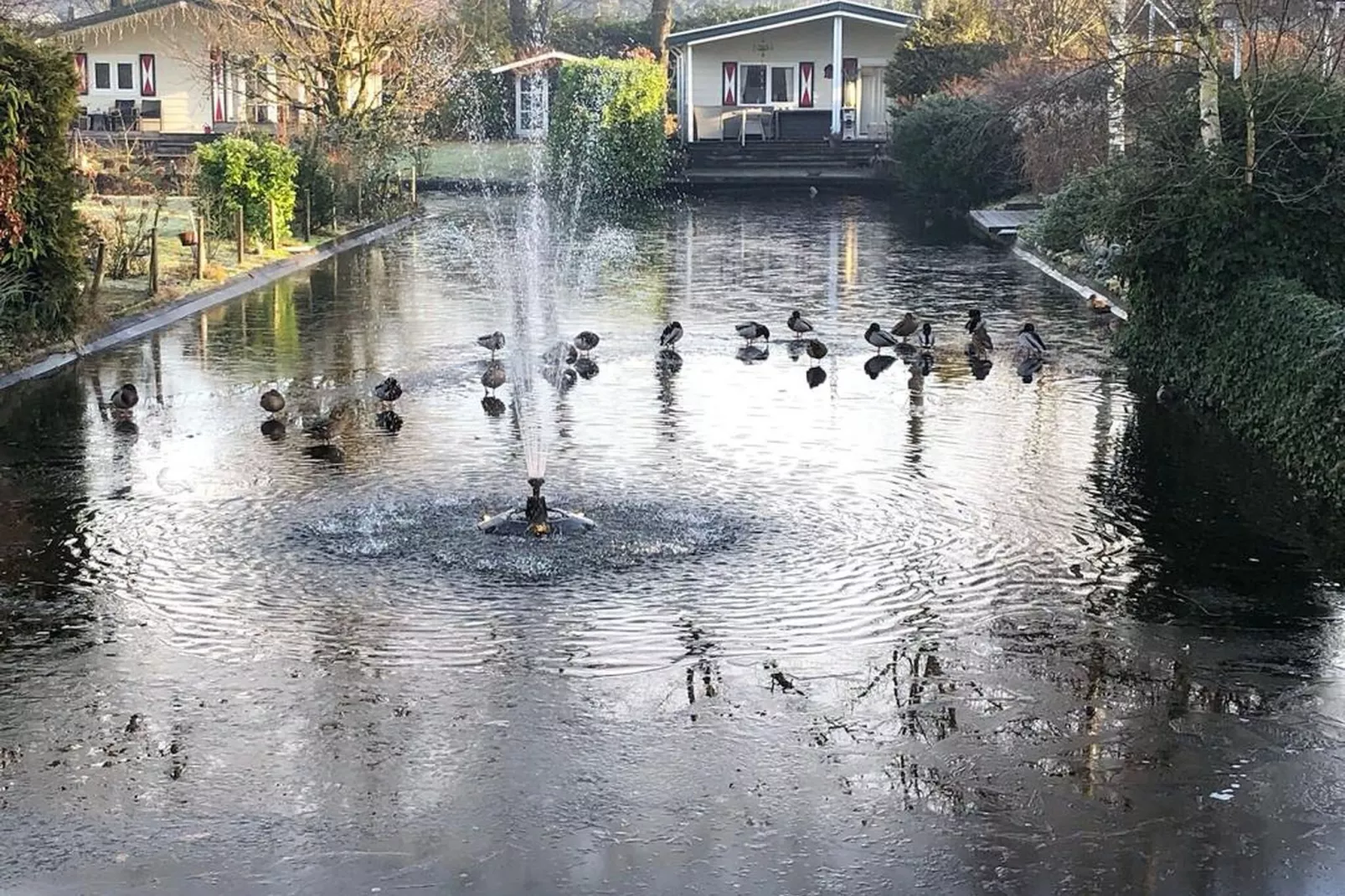 Genieten in Voorthuizen-View winter