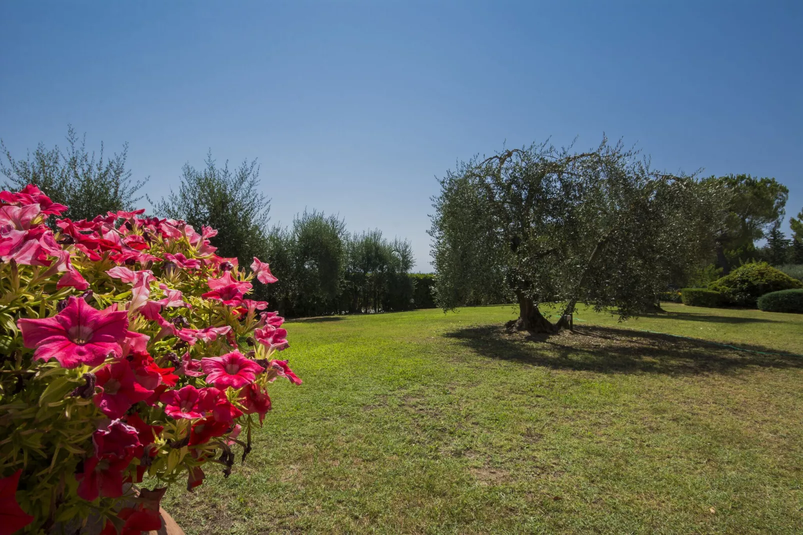 Prato-Gardens summer