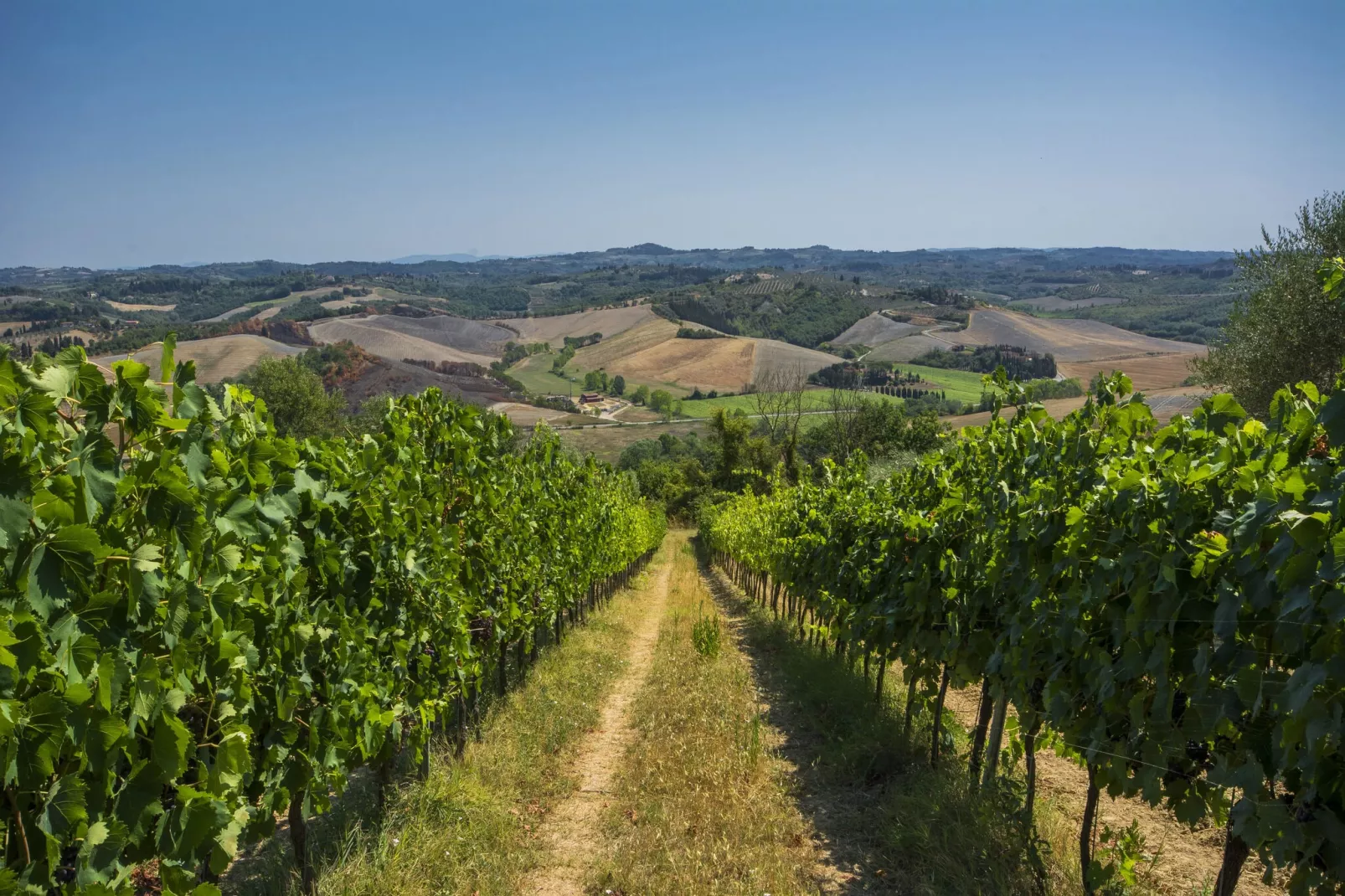 Prato-View summer