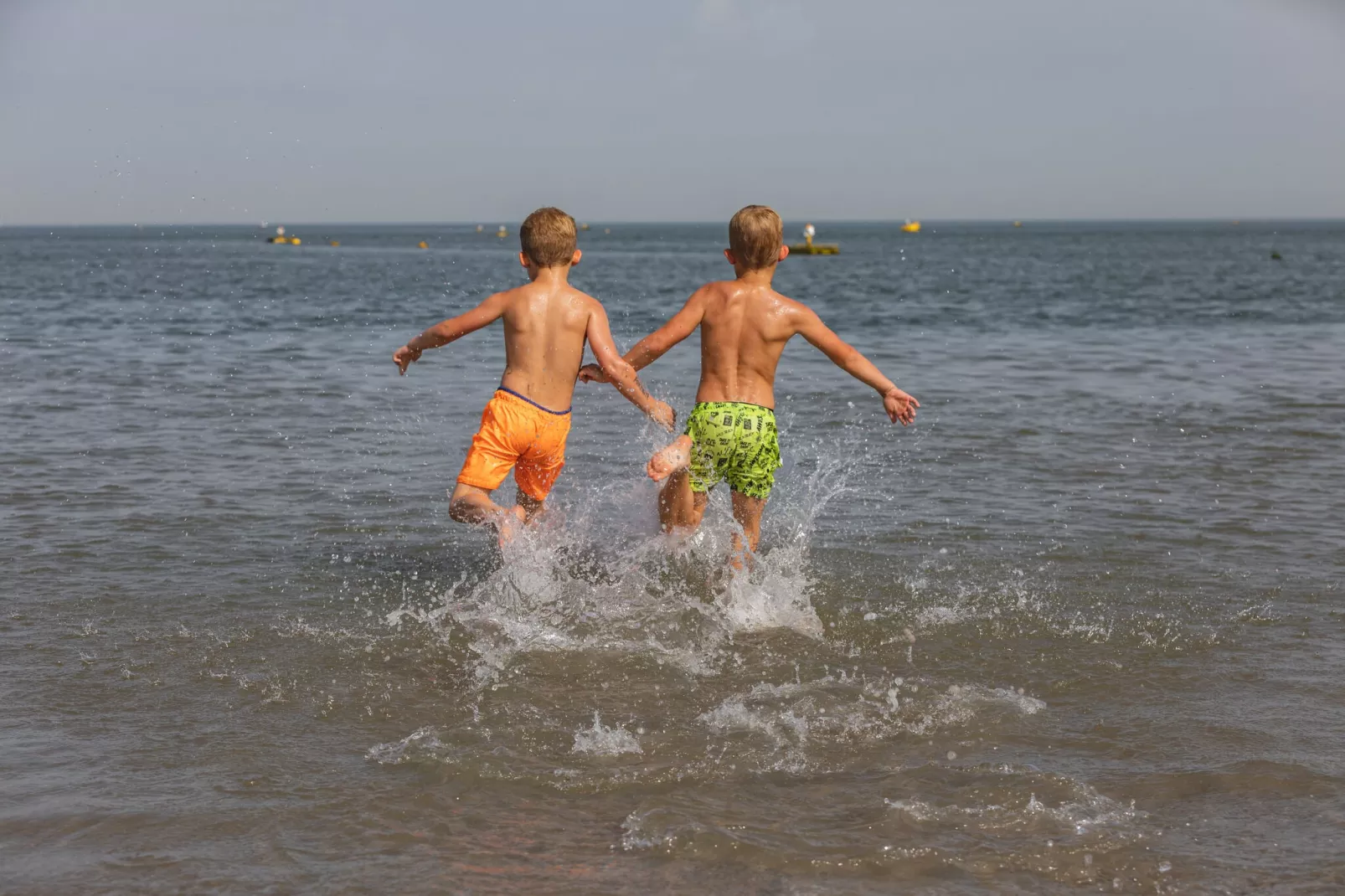Noordzee Résidence De Banjaard 1-Zones d'été à 1 km