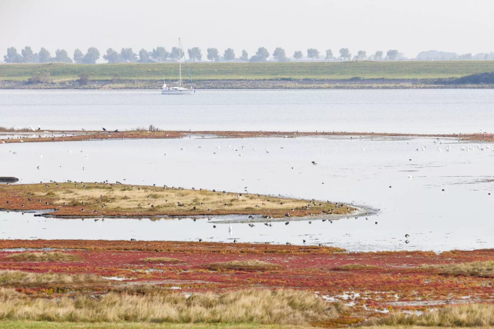 Domein Het Camperveer Veerse Meer 2-Areas summer 5km