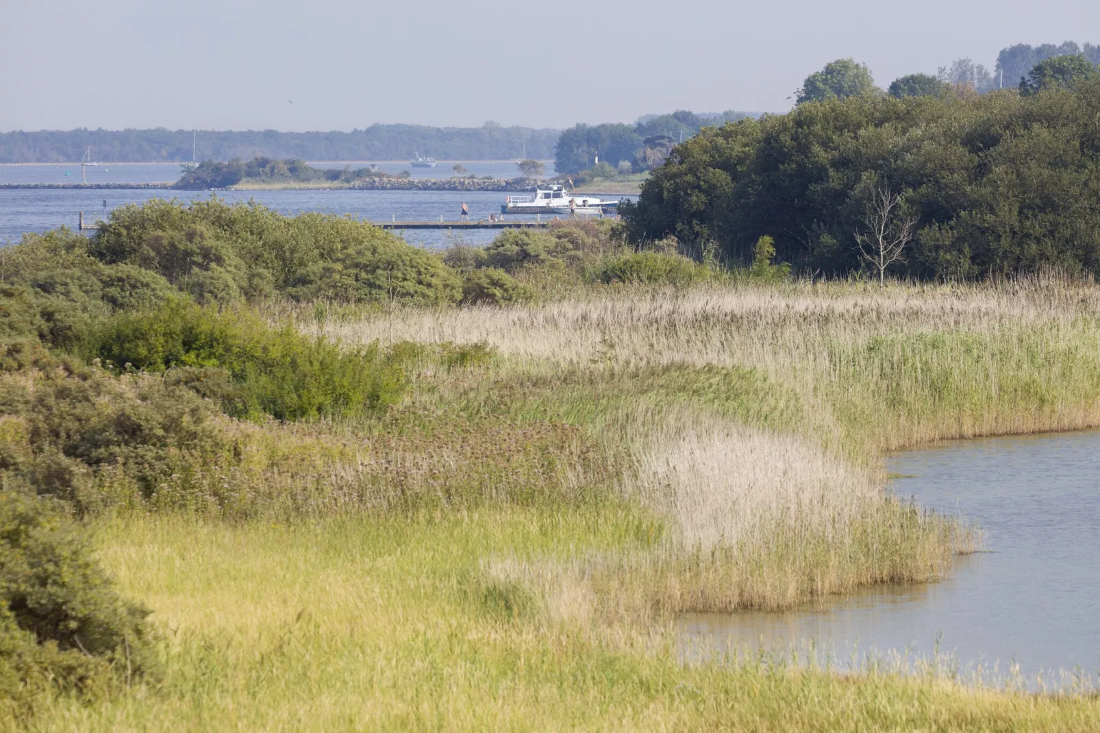 Domein Het Camperveer Veerse Meer 2-Areas summer 5km
