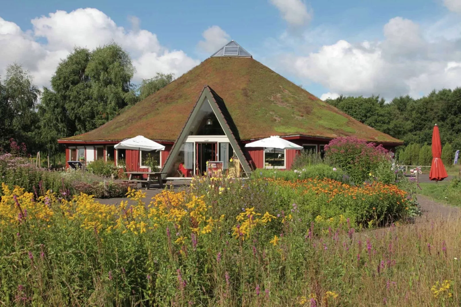 Natuurhuis Dichtbij-Areas summer 20km