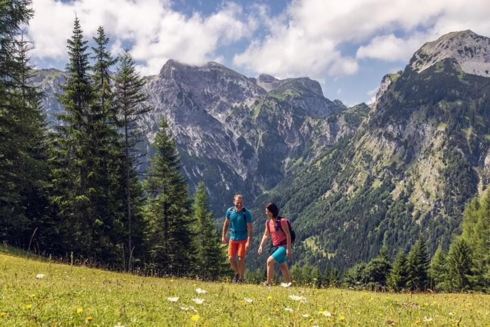 Ferienwohnung Achensee-Areas summer 5km
