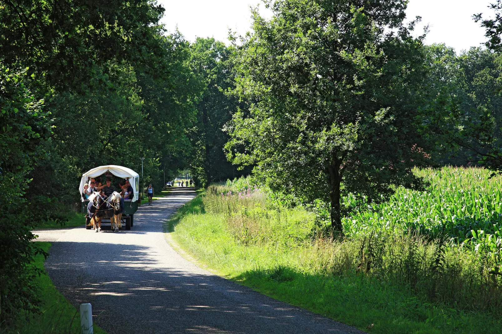 Natuurhuis Dichtbij-Areas summer 20km