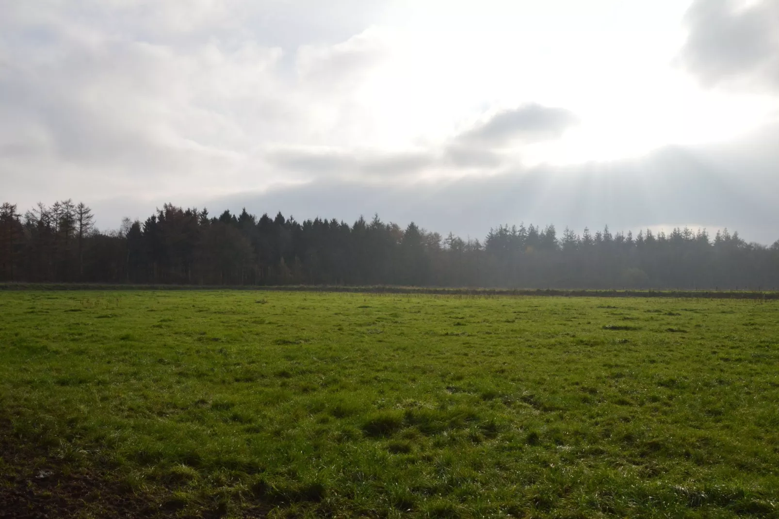 Natuurhuis Dichtbij-View summer