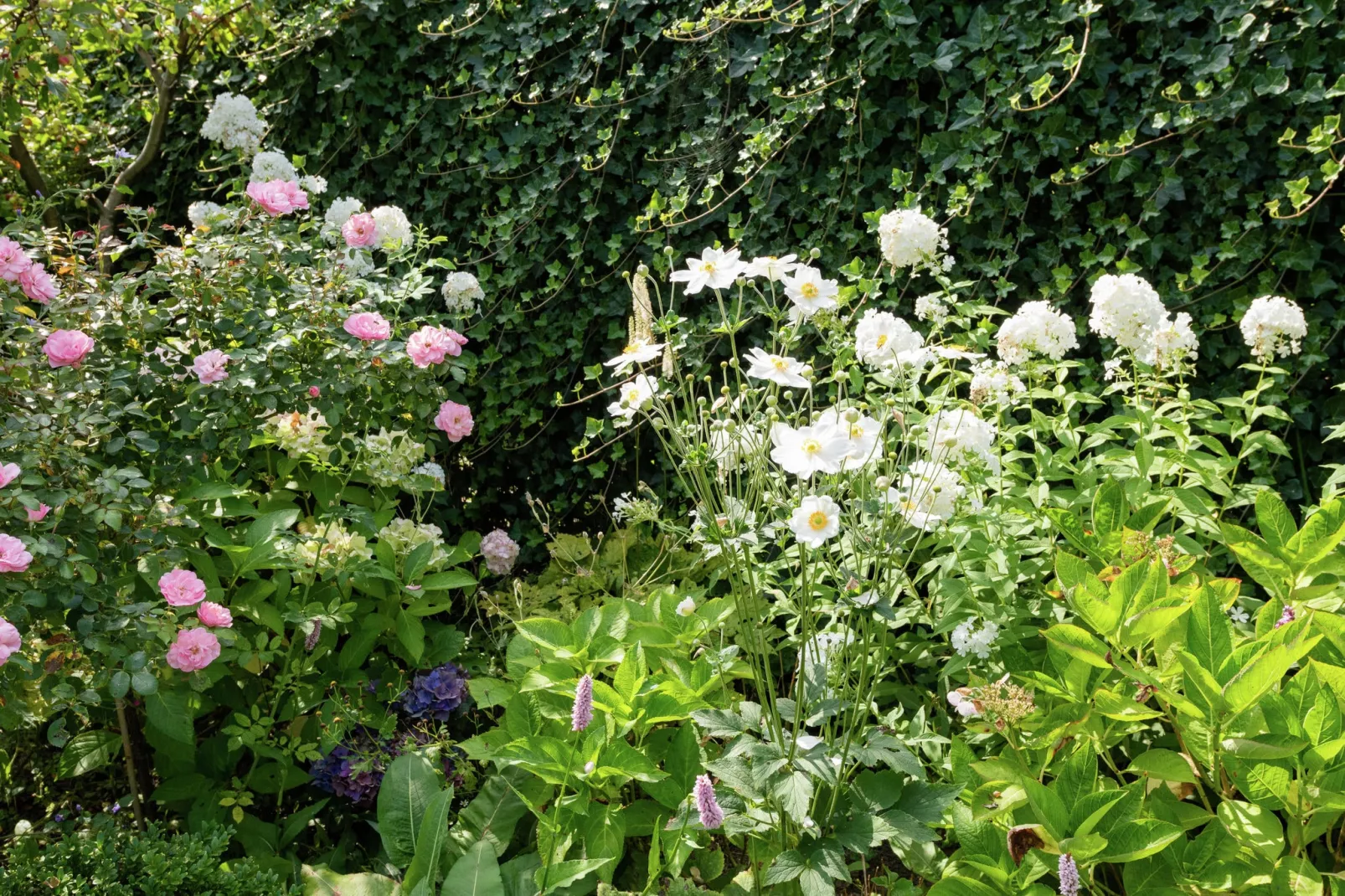 Hof van Craeck I-Gardens summer
