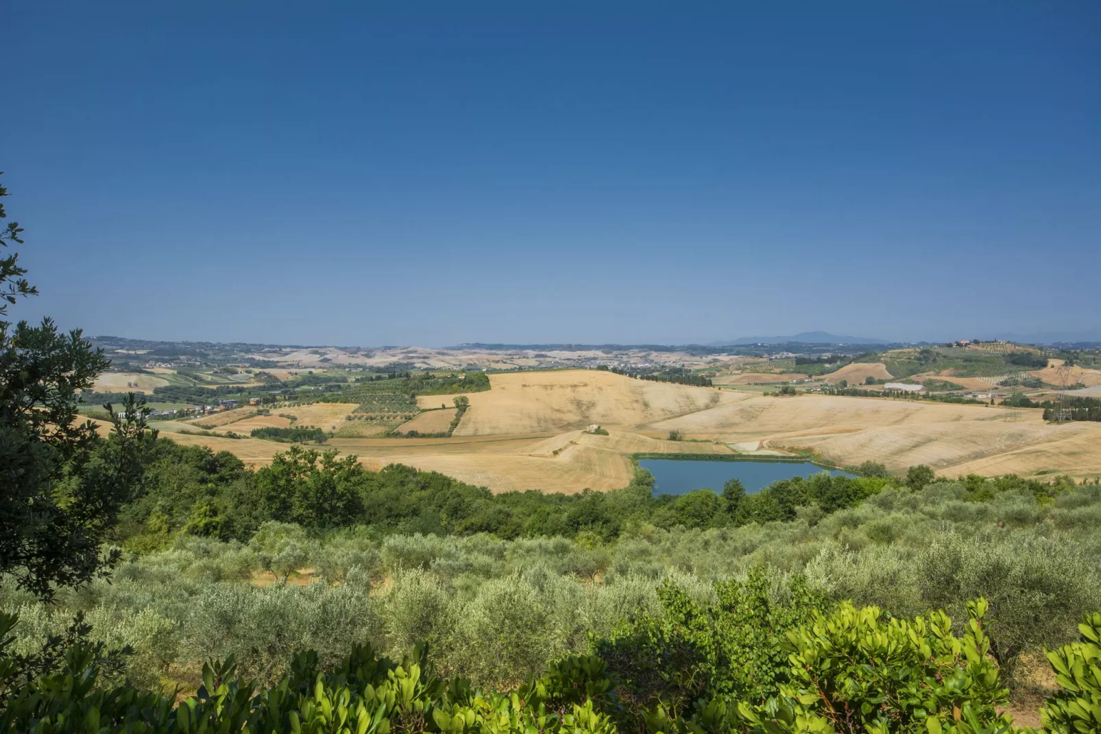 Lago-View summer