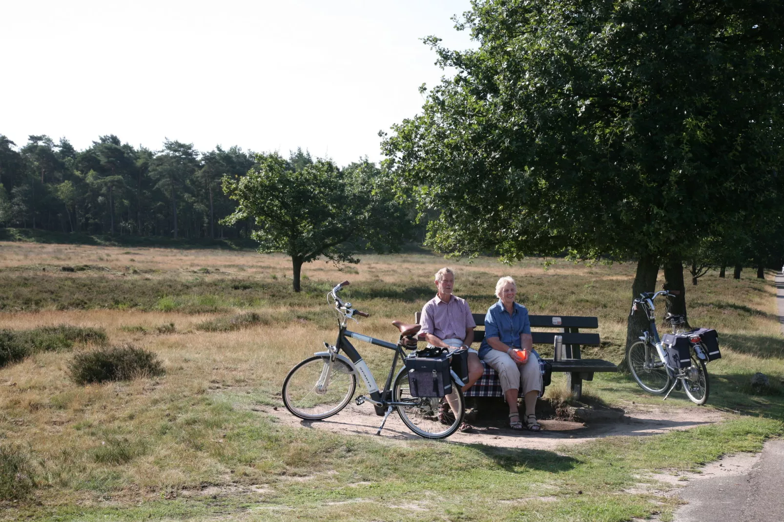 Landgoed Het Grote Zand 1-Areas summer 1km