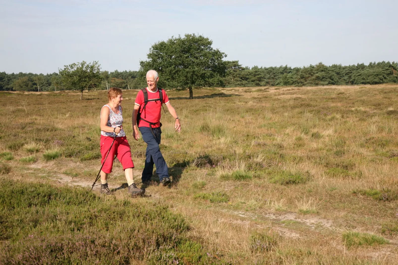 Landgoed Het Grote Zand 1-Areas summer 1km