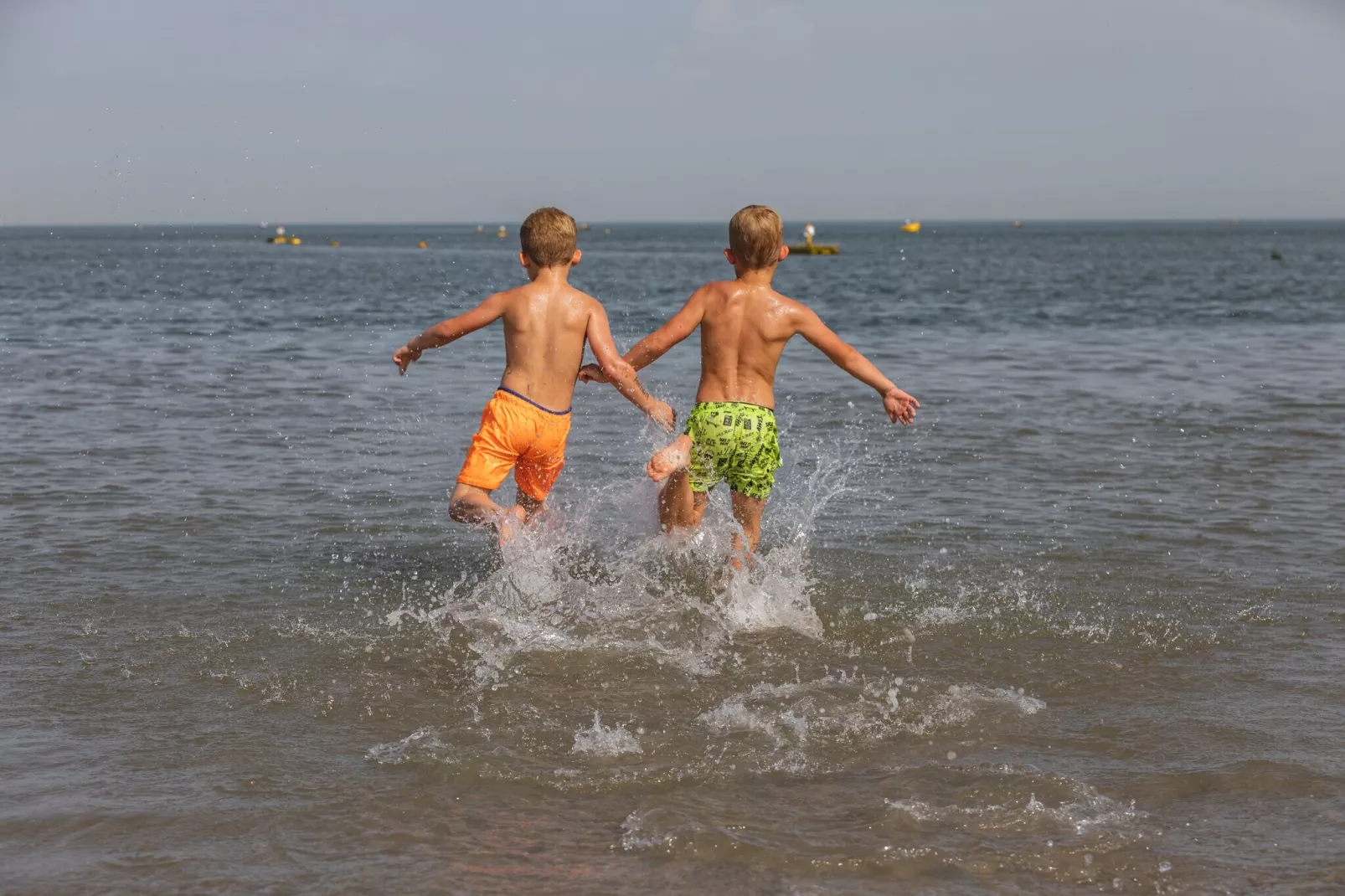 Noordzee Résidence De Banjaard 16-Areas summer 1km