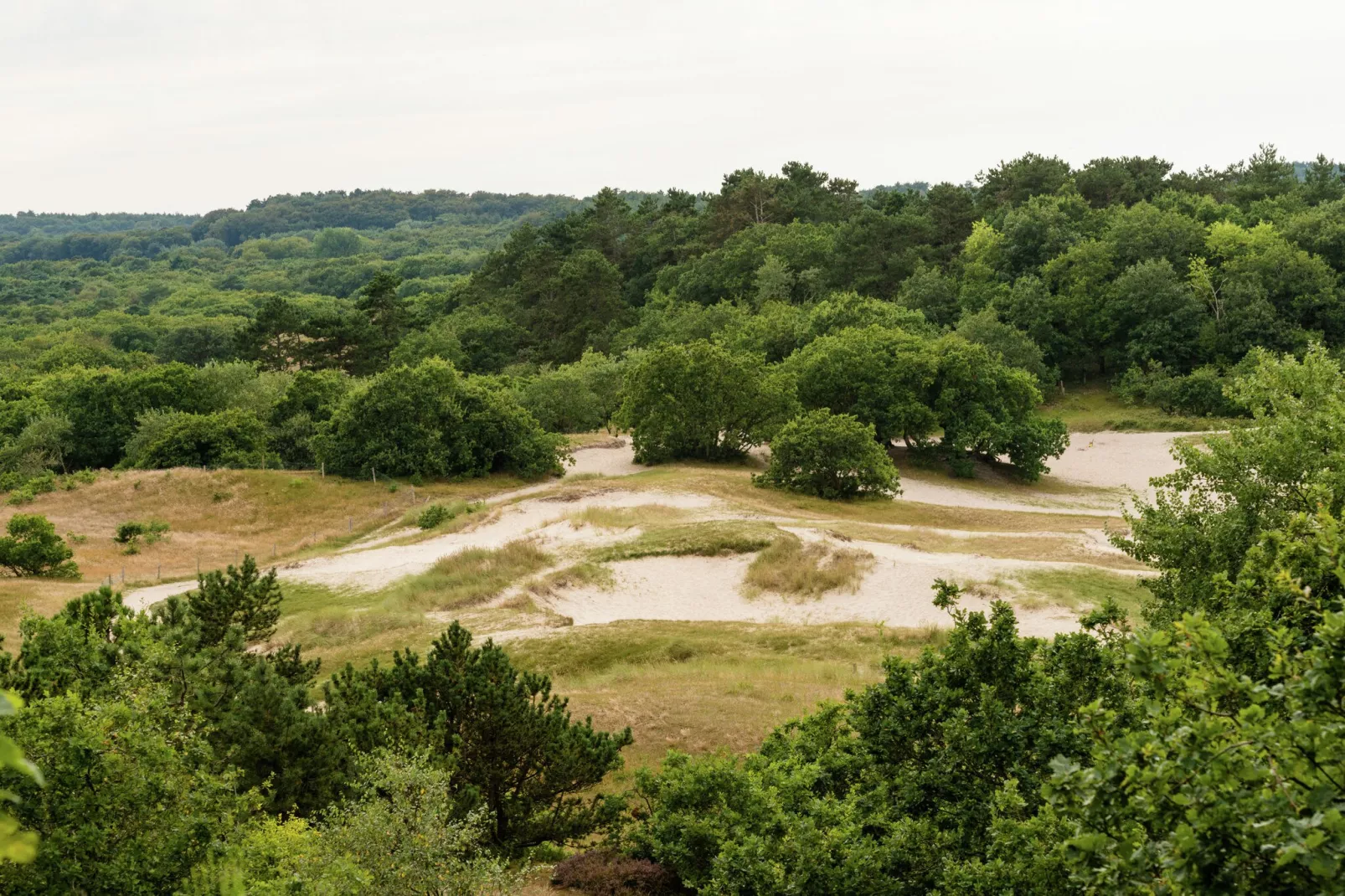 Hof van Craeck II-Areas summer 5km