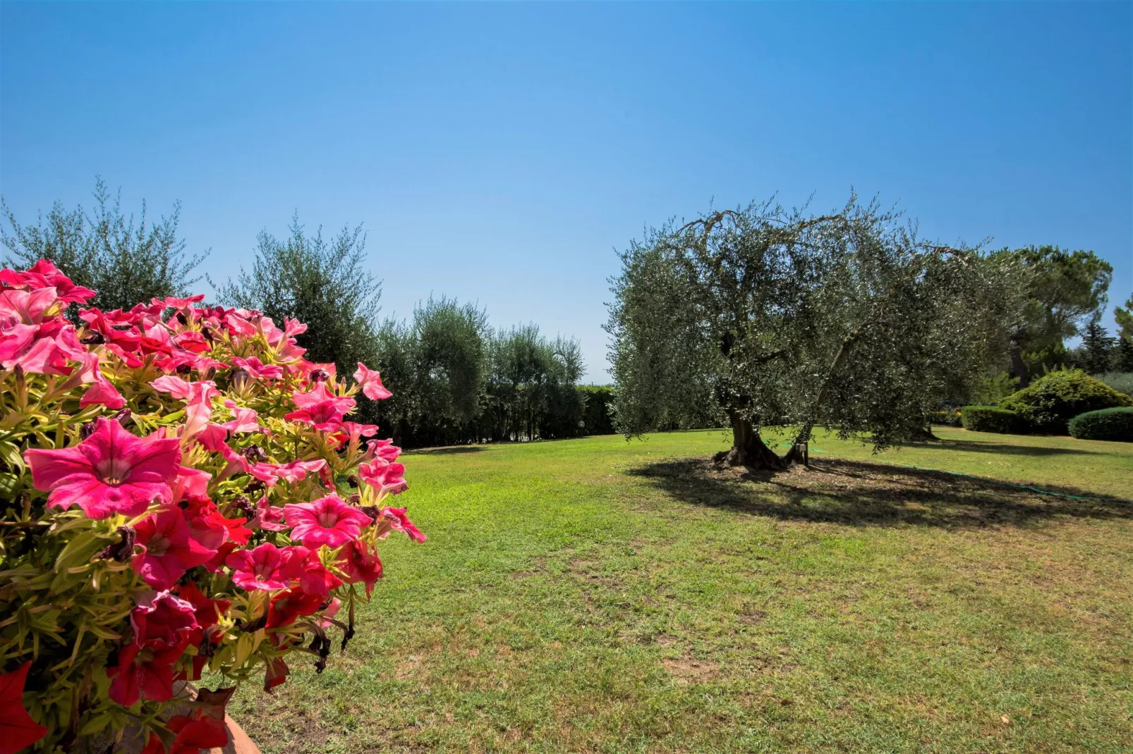 Cipressi-Gardens summer
