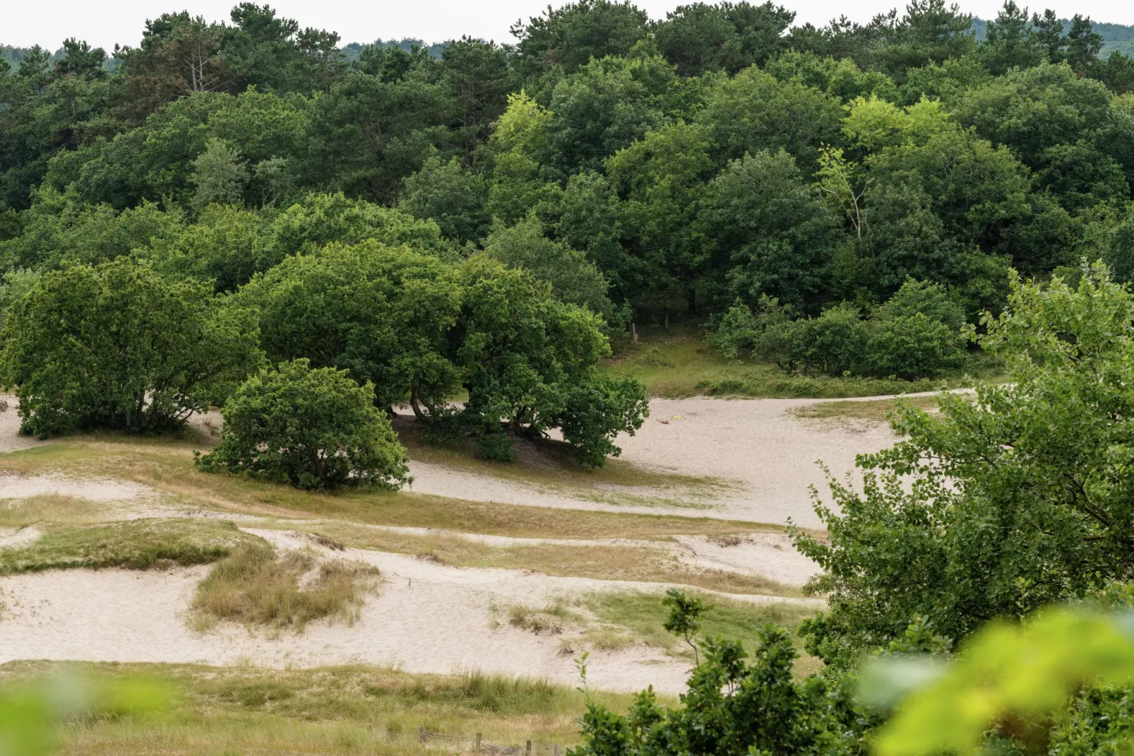 Hof van Craeck III-Areas summer 5km