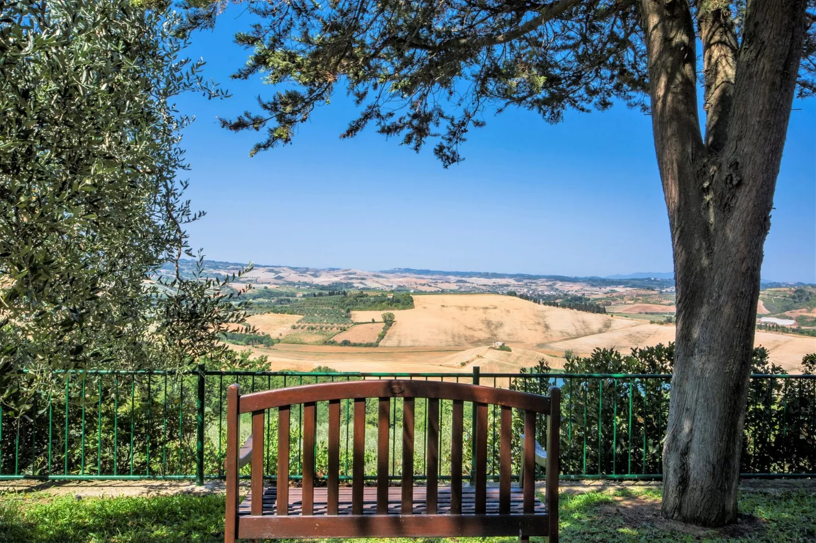 Cipressi-View summer