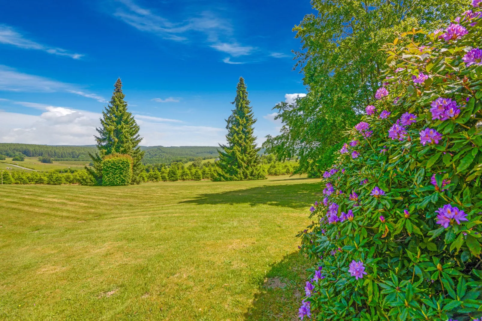 Charme des Chenets-Areas summer 1km