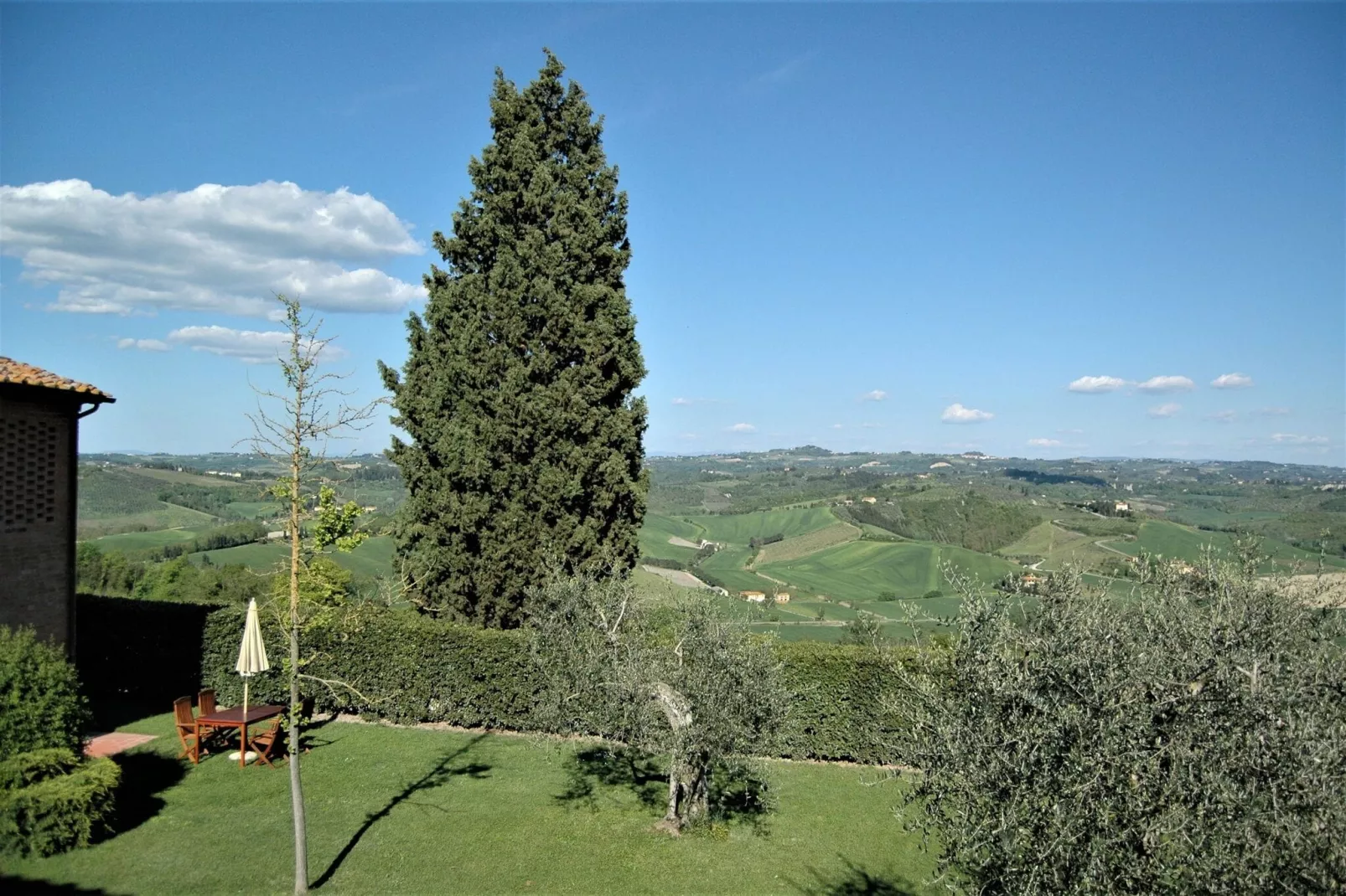 Cipressi-View summer