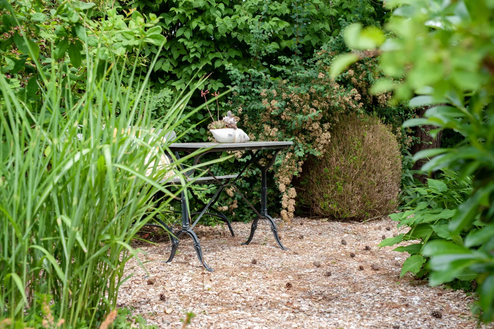 Dennenlaan 17-Gardens summer