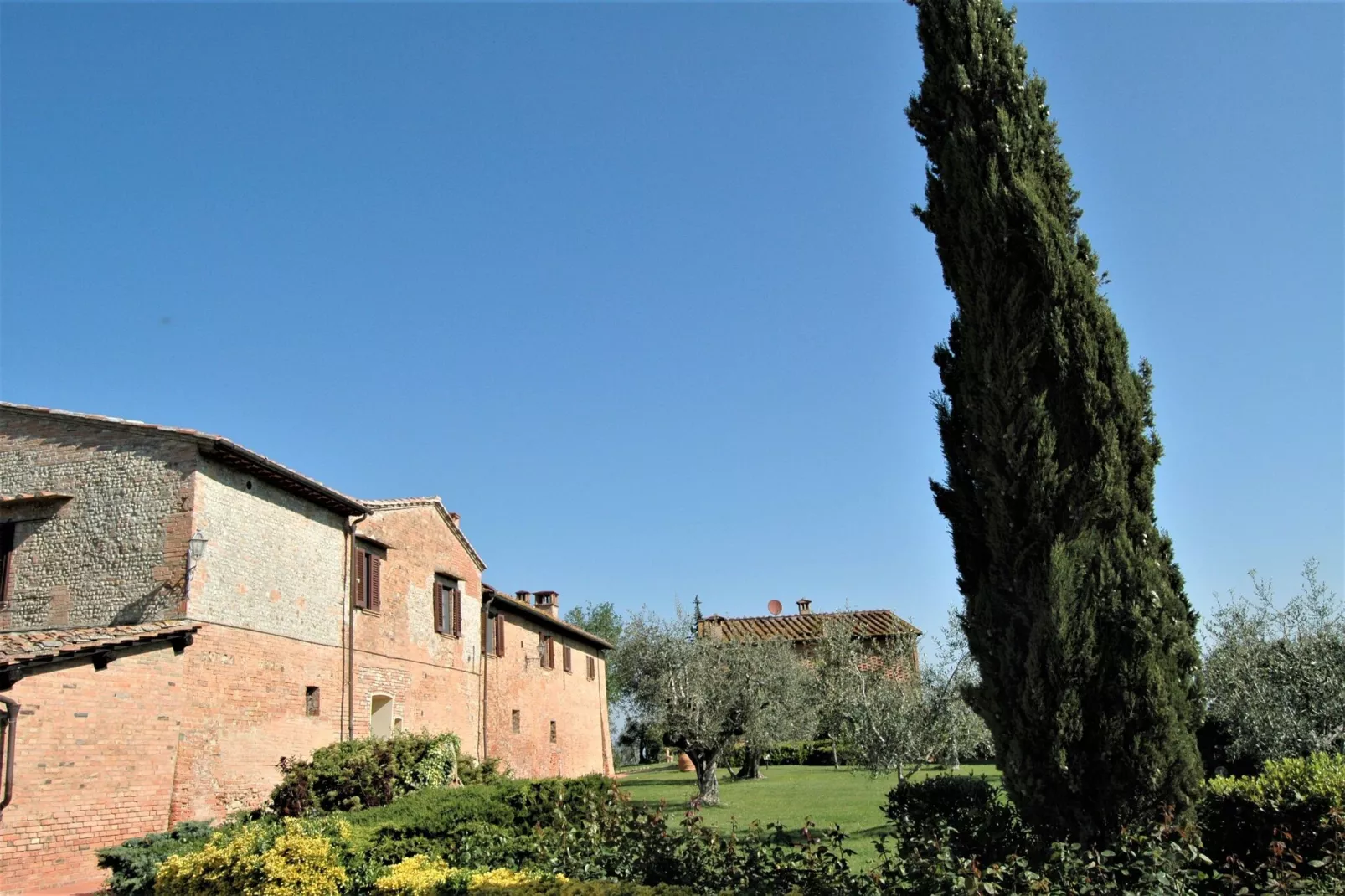 Cipressi-Exterior summer