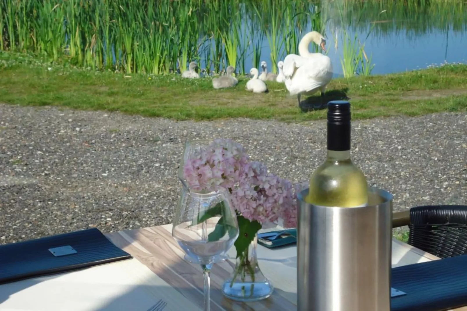 Watervilla Harderwijk 341-Gebiete Sommer 1 km