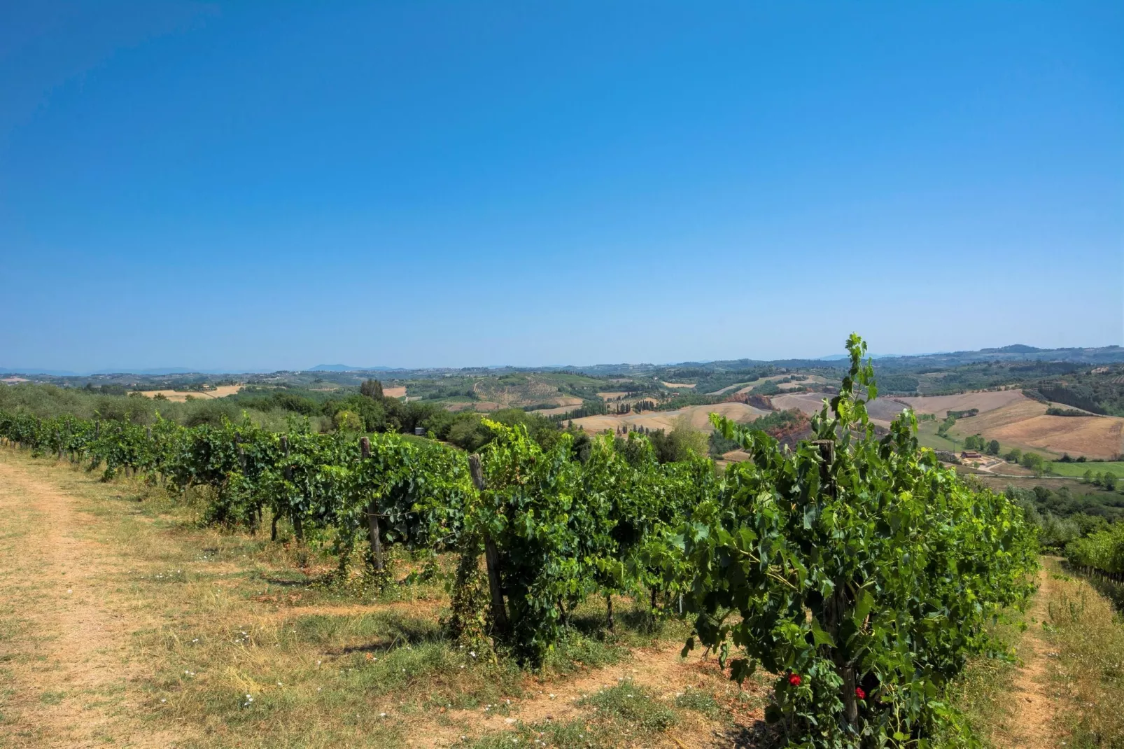 Focolare-View summer