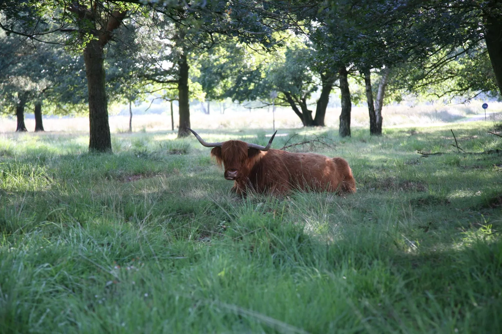 Landgoed Het Grote Zand 3-Areas summer 5km