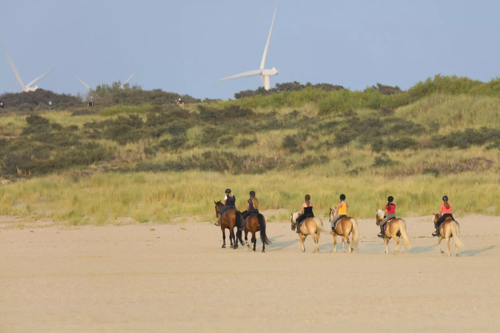 Domein Het Camperveer Veerse Meer 6-Areas summer 1km