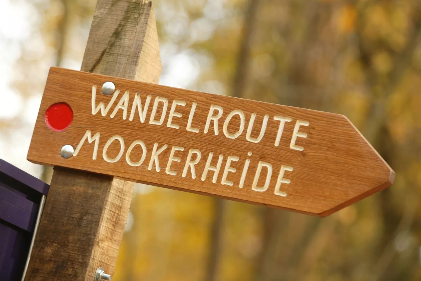 Vakantie bij Meeussen - Schuttersoord 1-Areas summer 1km