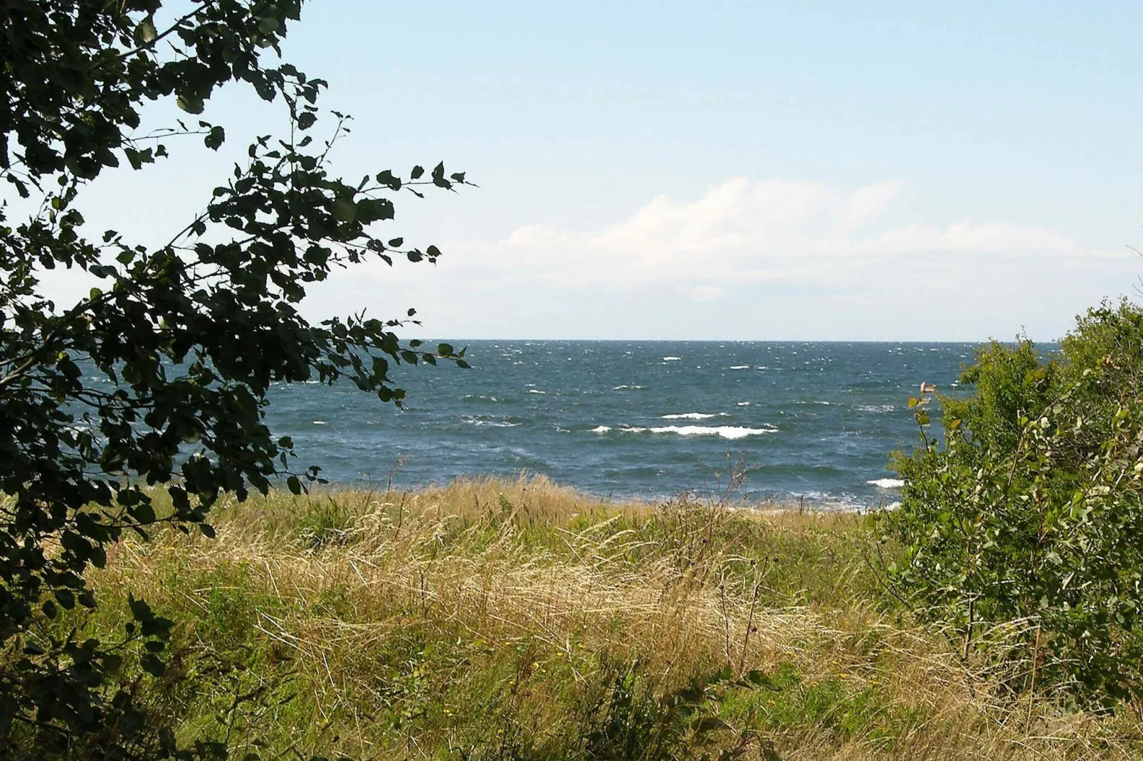 Modern Cedar Cottage near Beach - By Traum Ferienwohnungen-View