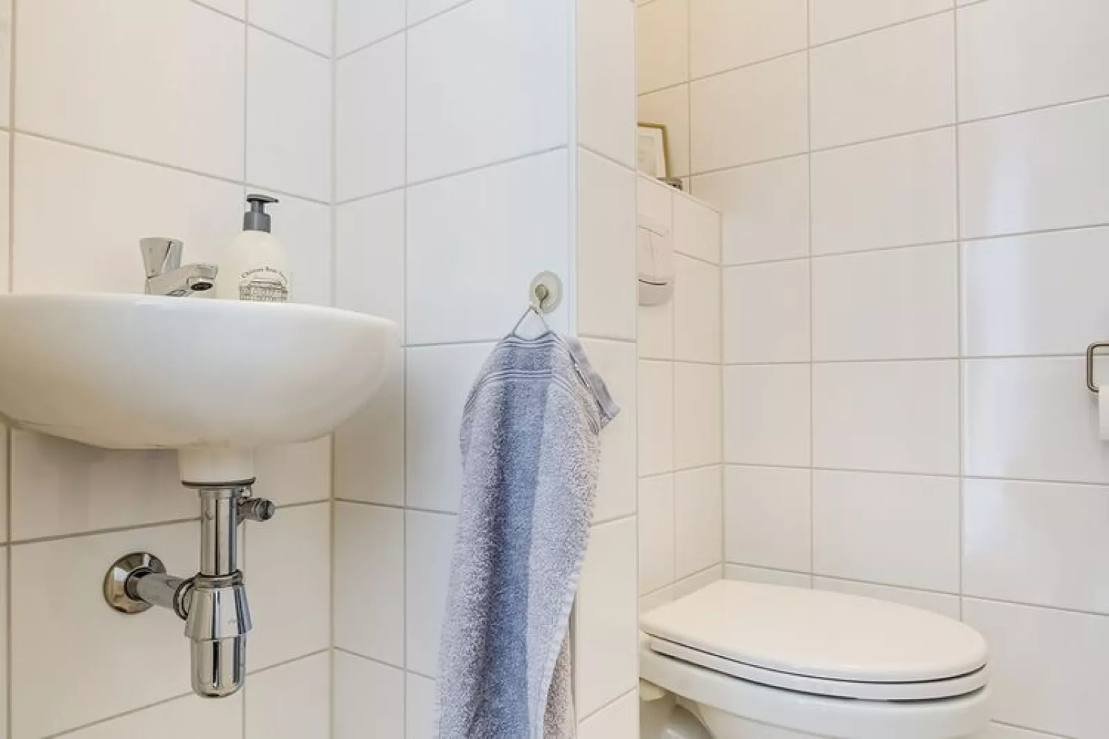 Vakantie in Harderwijk 315-Bathroom
