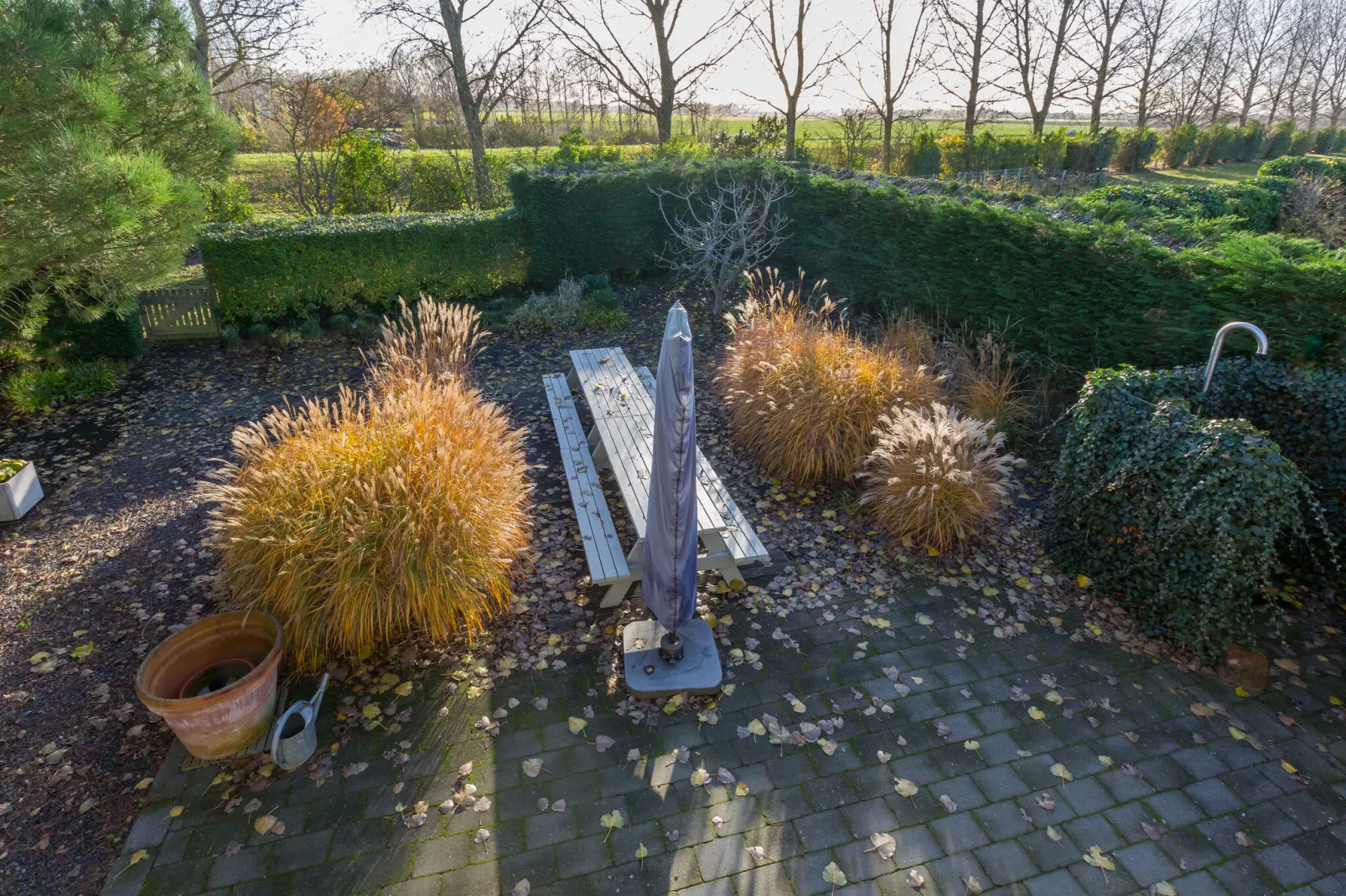 Ostrea 146-Jardin d'été