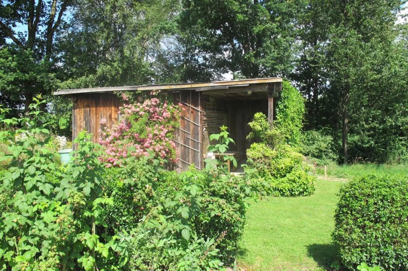Has'n Res-Gardens summer