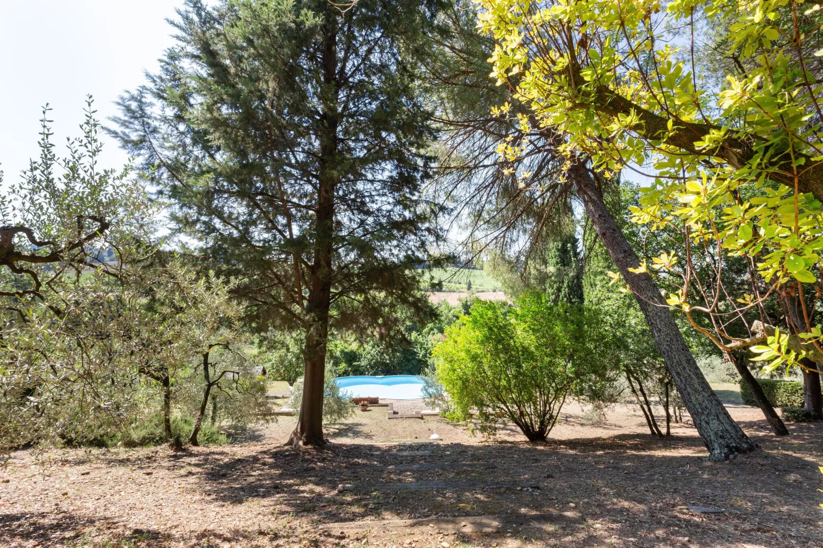 Villa Empoli-Gebiete Sommer 1 km