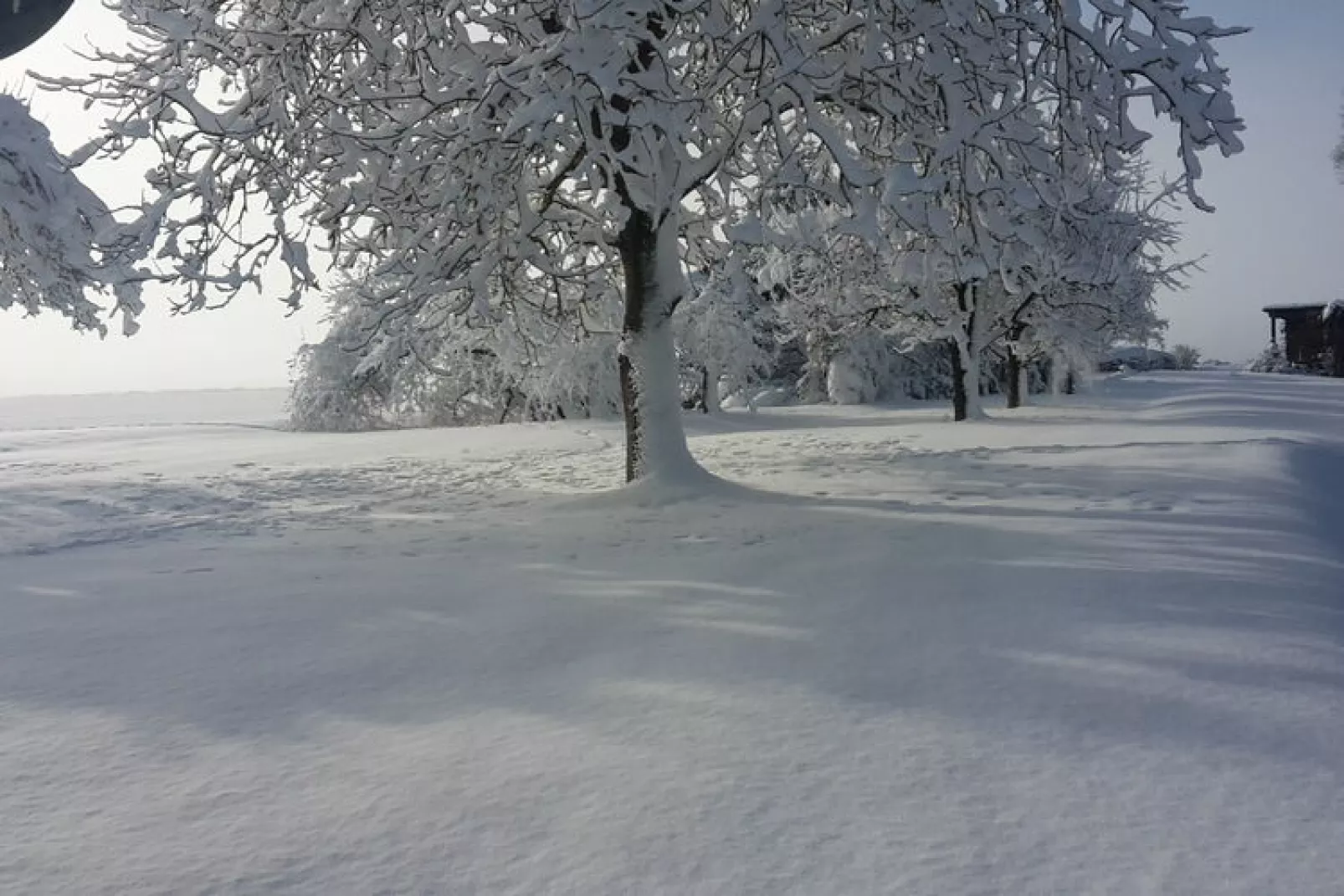 Has'n Res-Exterior winter