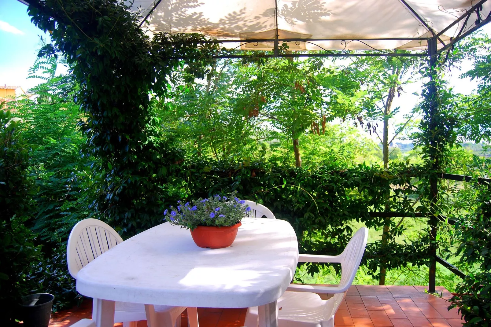Massarella Due-Terrace balcony