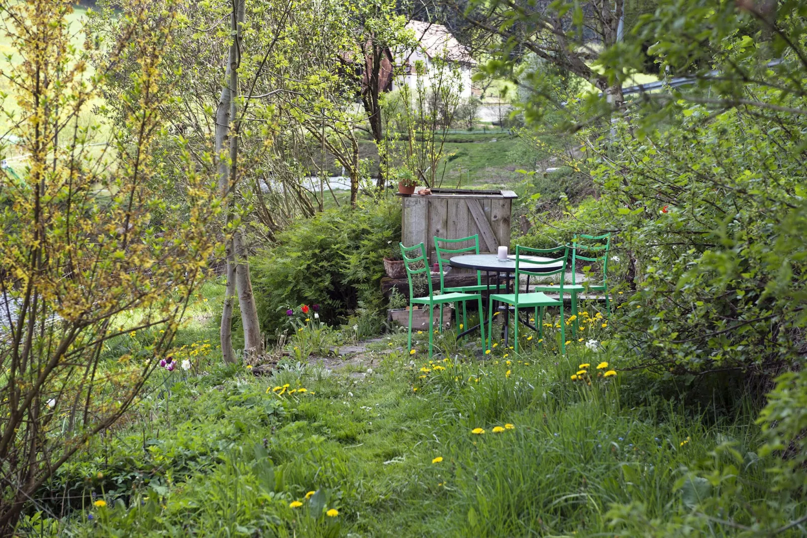 Weiherblasch II-Gardens summer