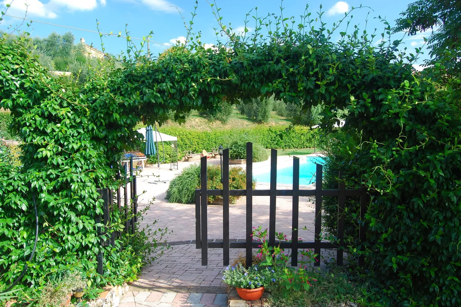 Massarella Due-Gardens summer