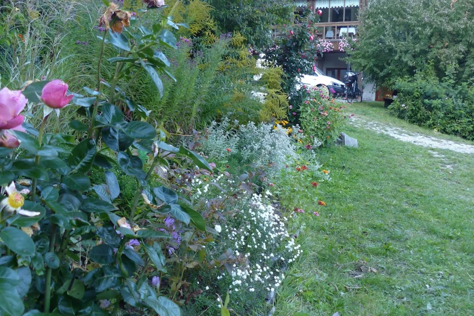 Weiherblasch II-Gardens summer
