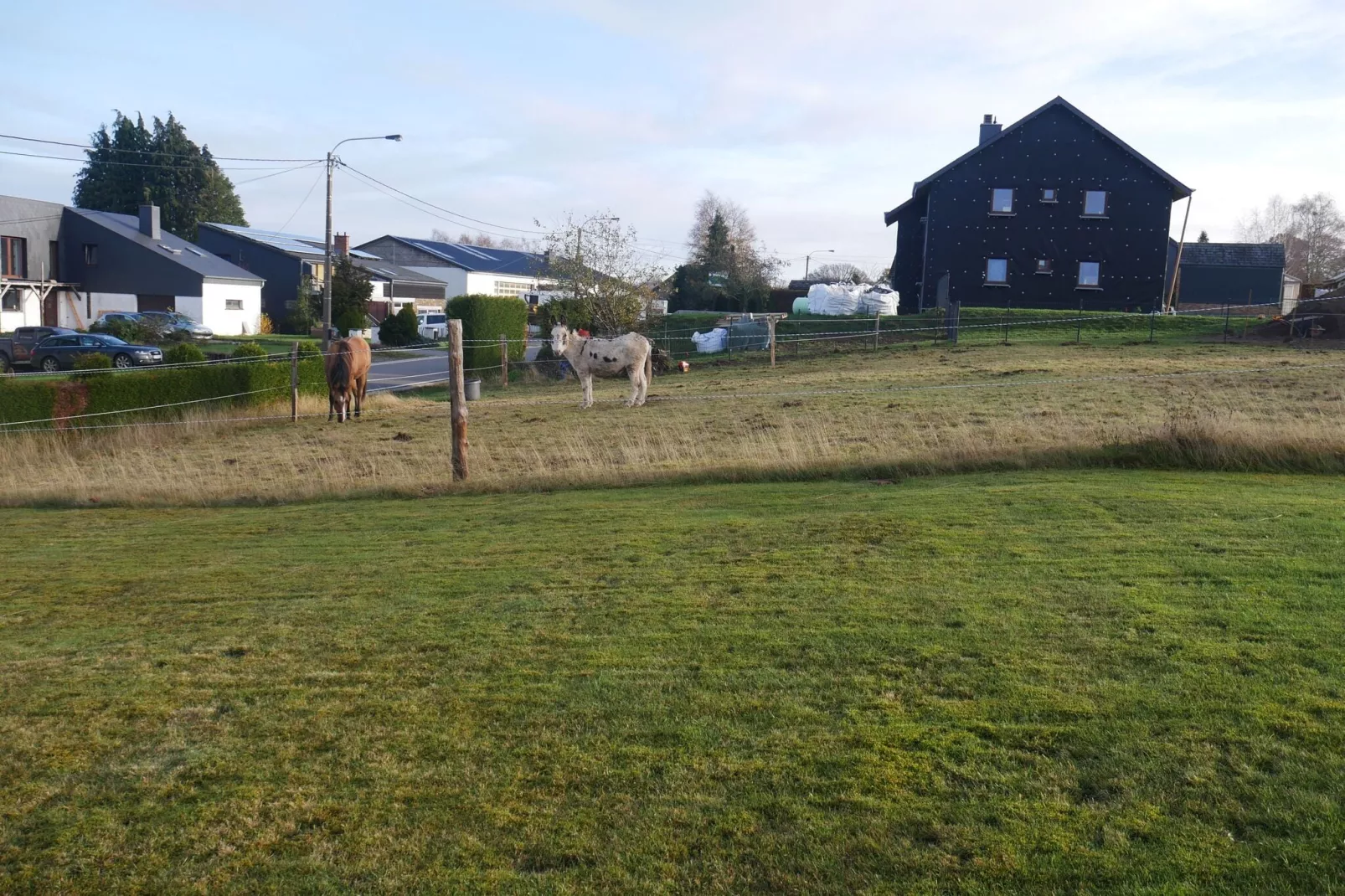 Très belle habitation à Lierneux pour 5 adultes-Jardin d'été