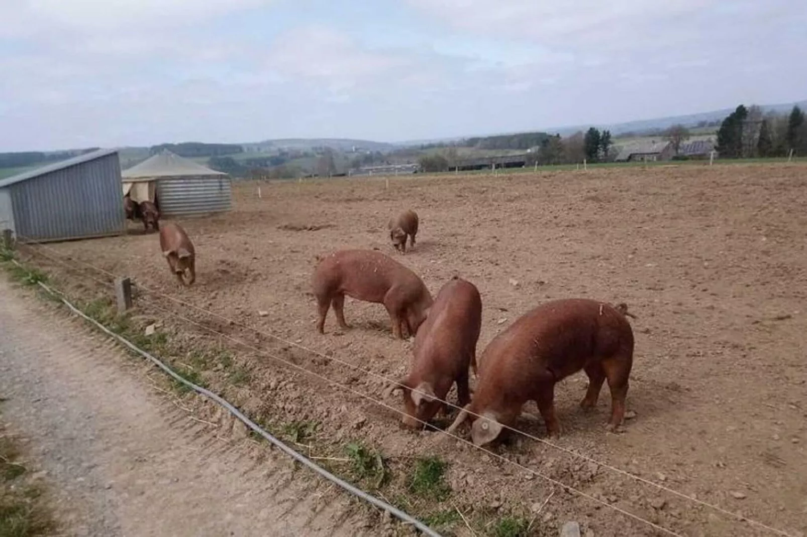 Très belle habitation à Lierneux pour 5 adultes-Jardin d'été