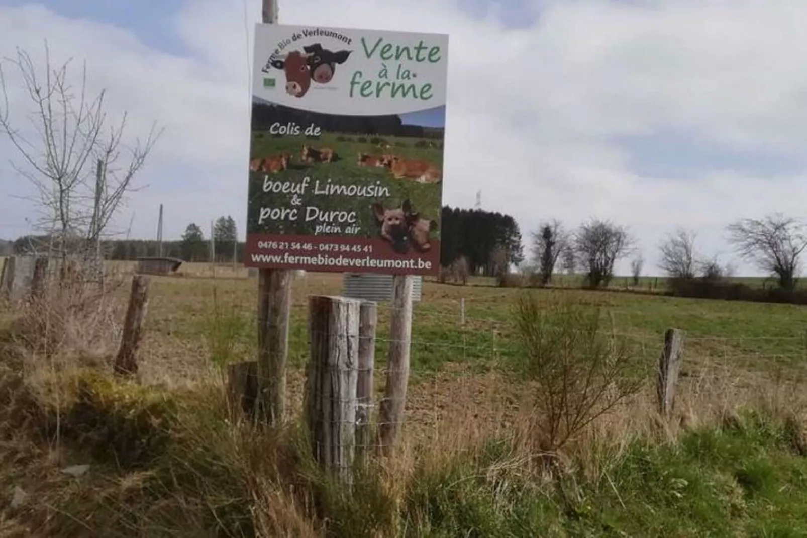 Très belle habitation à Lierneux pour 5 adultes-Zones d'été à 1 km