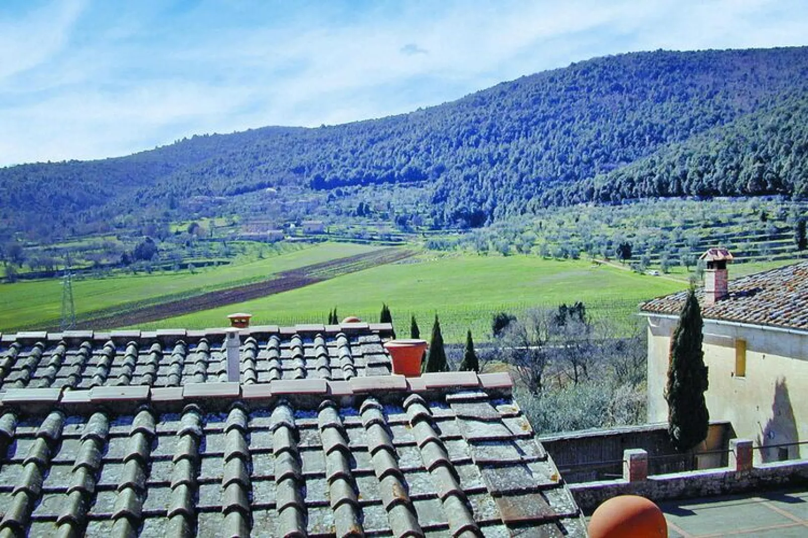 Residence Il Pero di Cetinale Sovicille Typ A 40 qm-Exterior summer