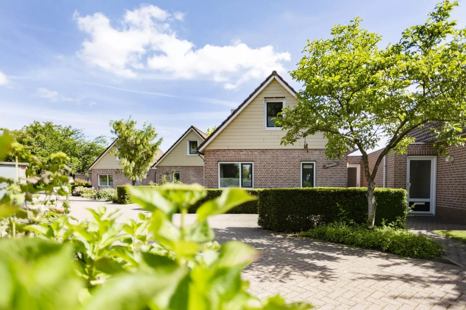 De Riethorst 2-Exterior summer