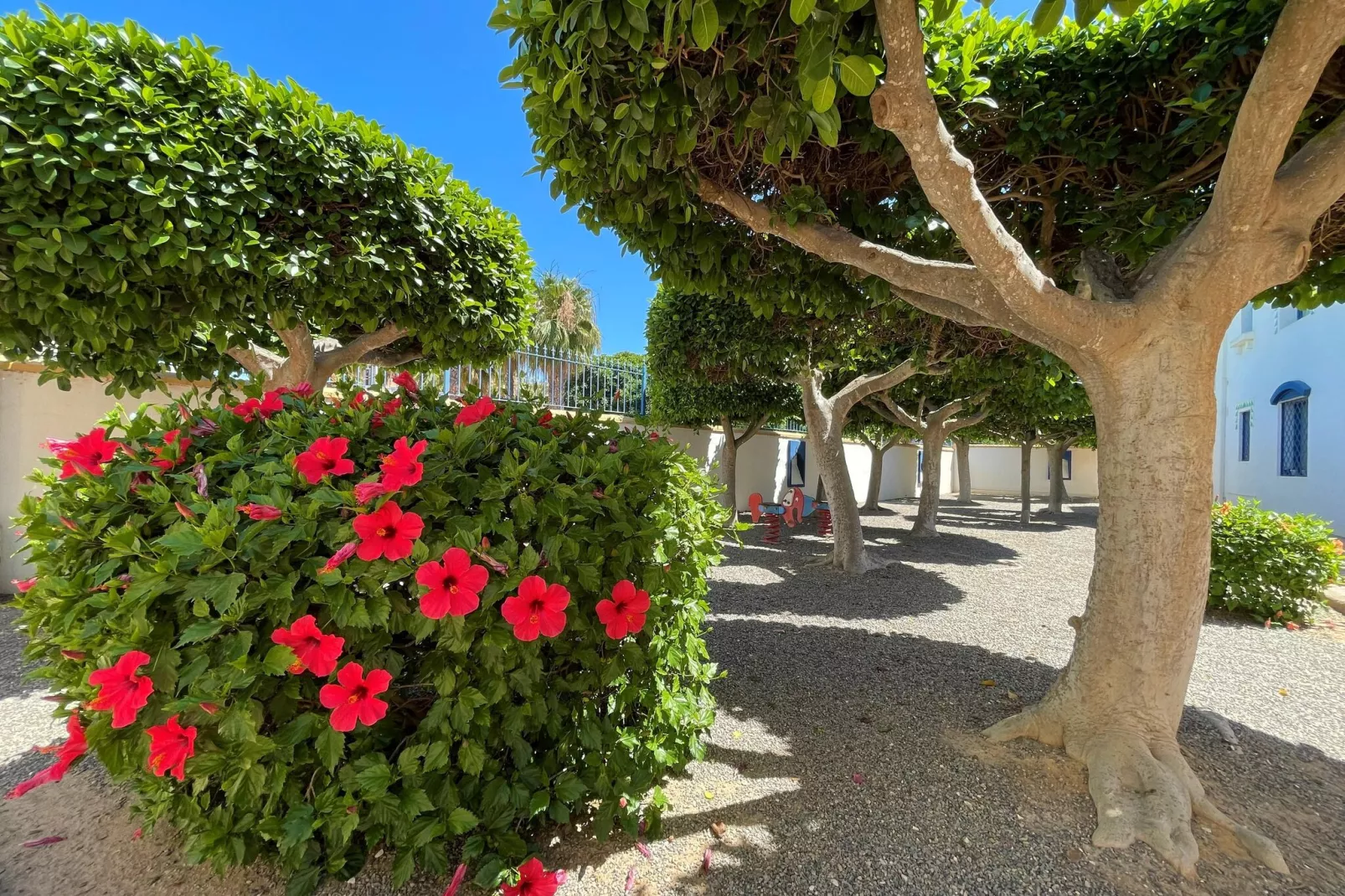 Minarete 7B-Gardens summer