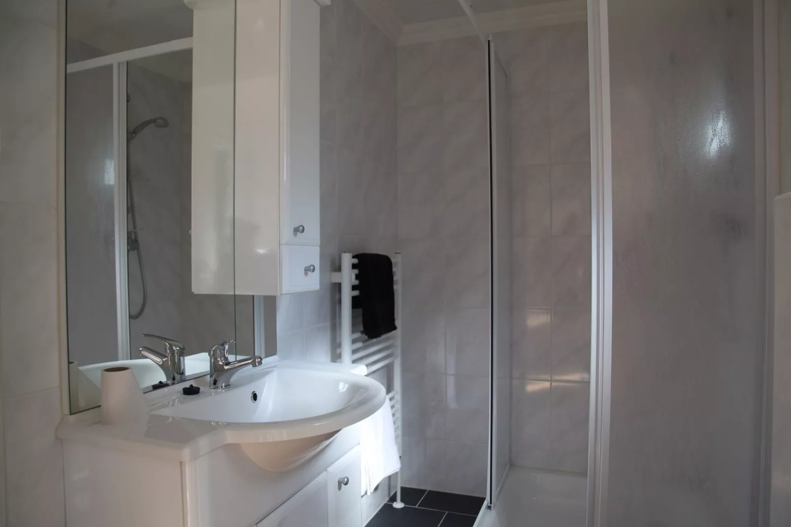 Landgoed Het Grote Zand 8-Bathroom