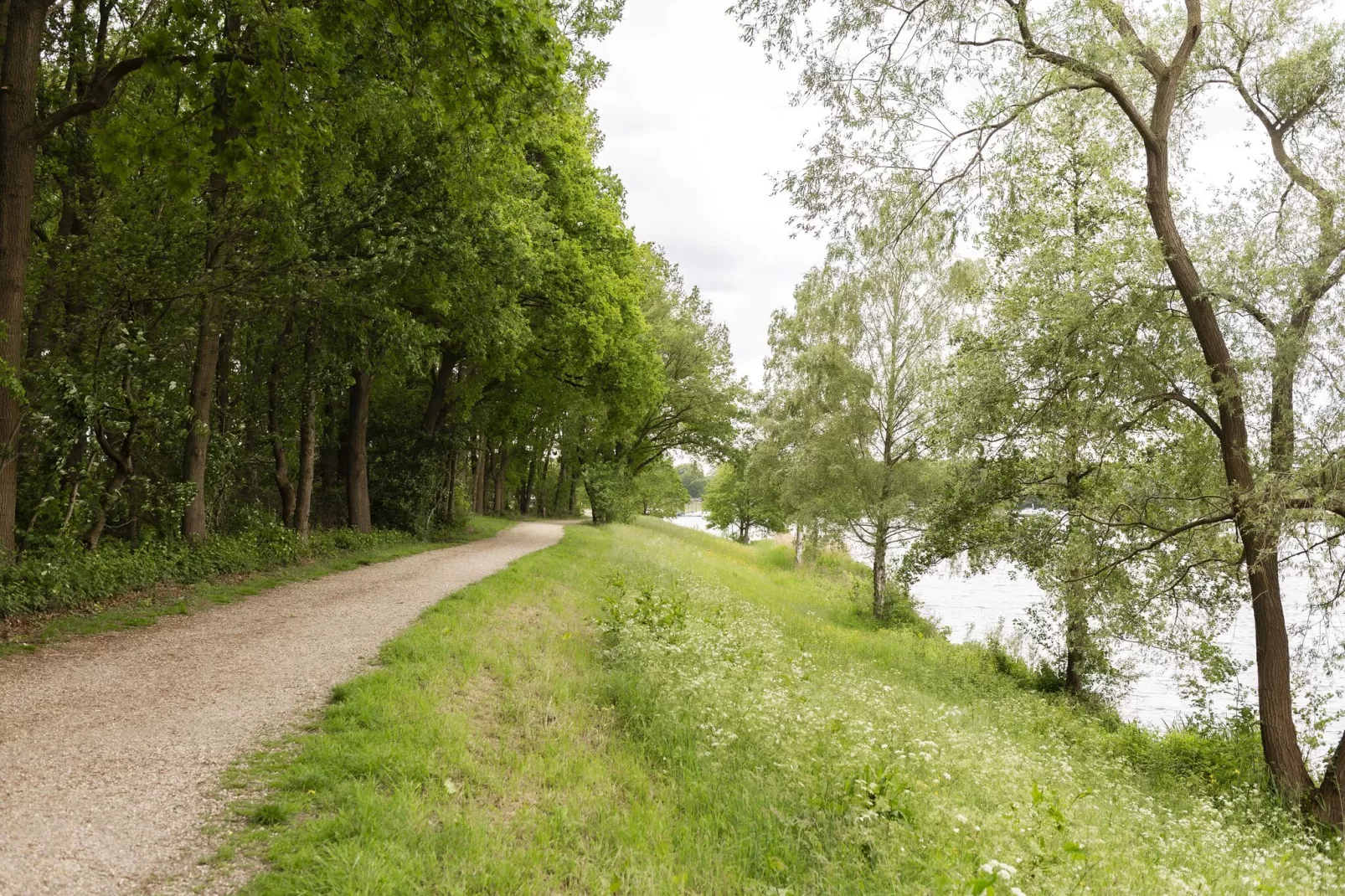 De Riethorst 2-Areas summer 1km