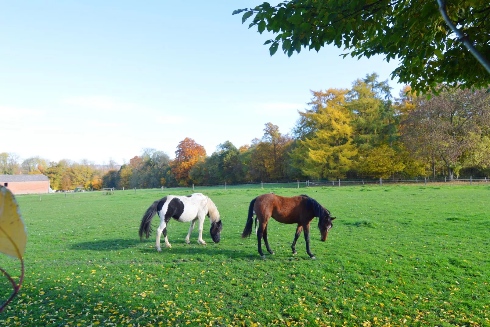 La Marquisette-Areas within 1km in summer