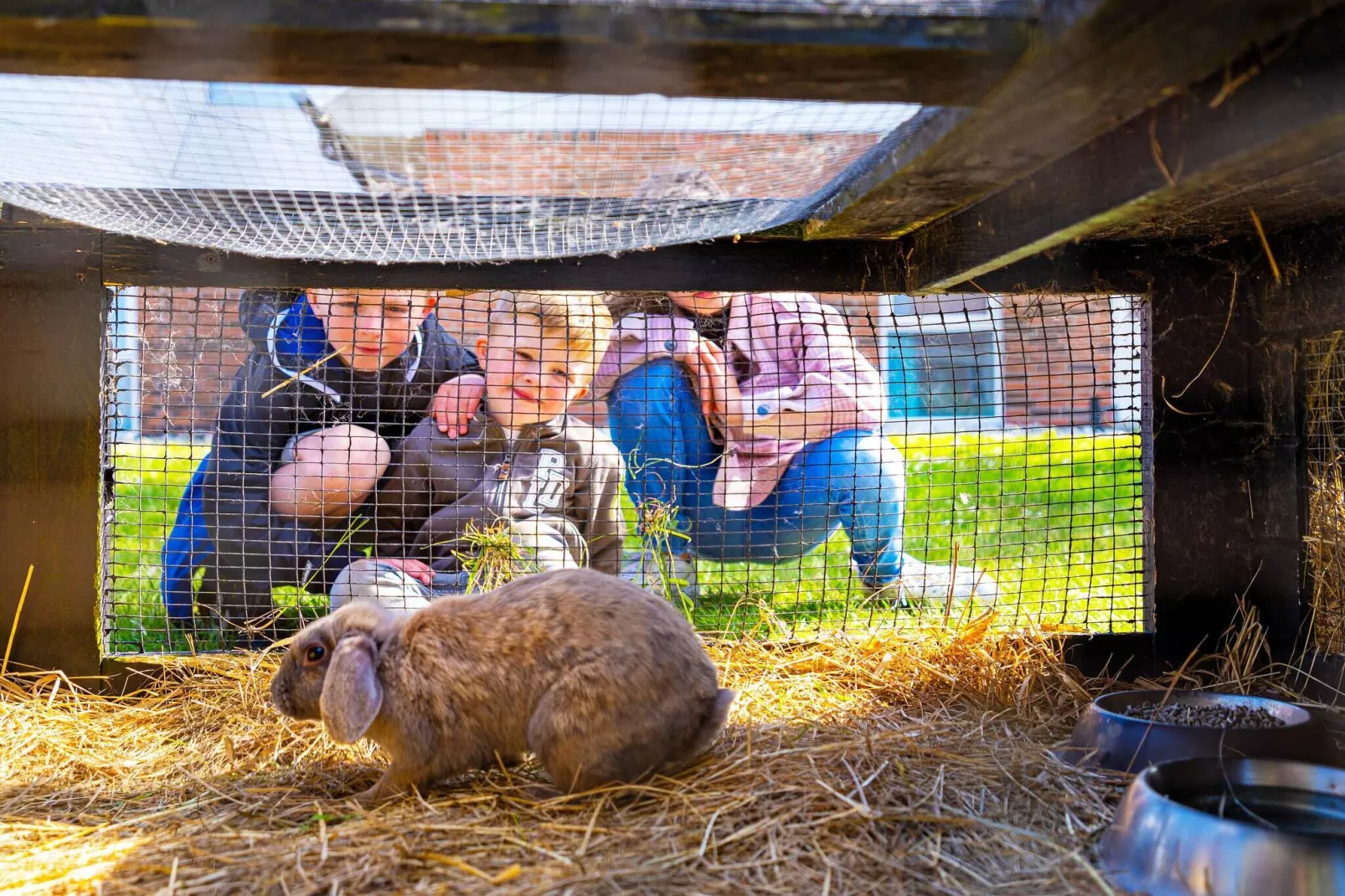Maison de vacances pour 10 dans un parc de vacances a Blåvand-Non étiqueté